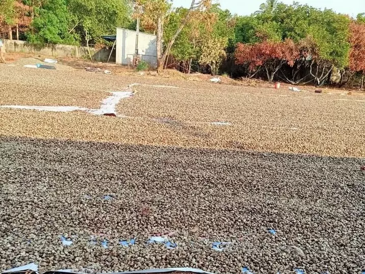 z3777256672954_91a49e35e8fb11faeac6b55b1d508629